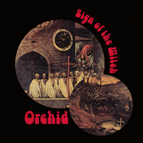orchidsotw
