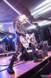 backyard babies